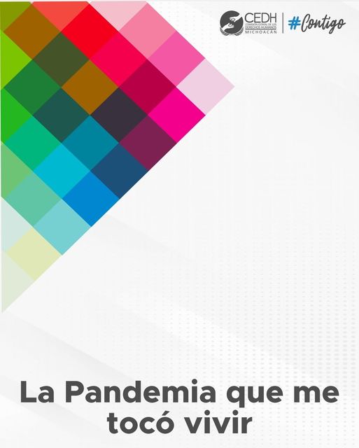 Libro La pandemia que me tocó vivir