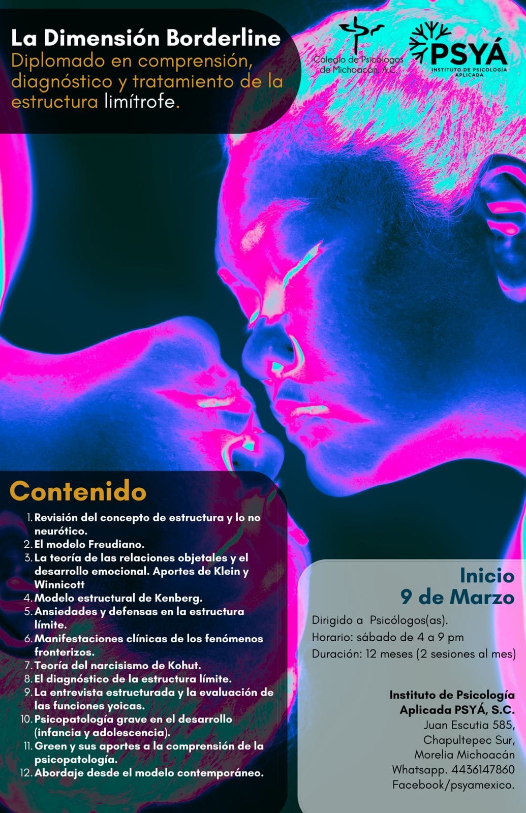 Diplomado Comprensión, Diagnóstico y Tratamiento de la Estructura Limítrofe